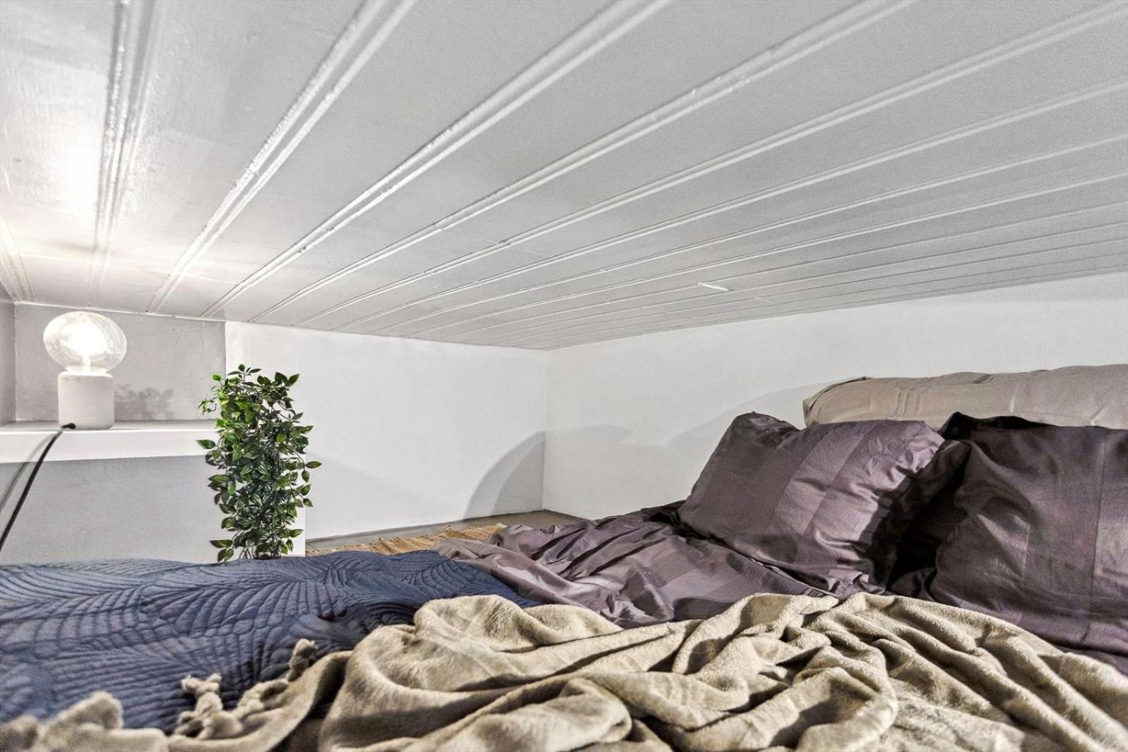 Cozy Room In Central Oslo Grunerlokka Happy Days מראה חיצוני תמונה